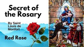 The Red Rose ii - The Secret of the Rosary book