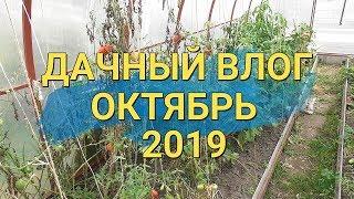 Дачный влог Октябрь 2019