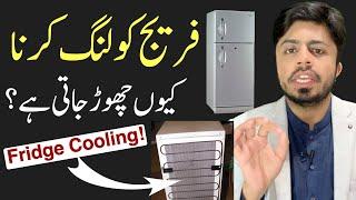 Fridge Cooling Problems Causes and Cautions  Refrigerator Not Cooling