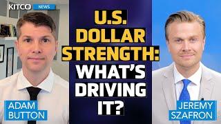 ‘Cyclical Slowdown’ and U.S. Dollar Whats Driving the Strength? - Adam Button