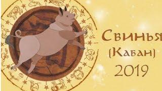 Гороскоп на 2019 год Для всех знаков  Зодиака. Самый точный  и Подробный .