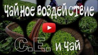 Действие чая. Чайное видео.Действие чая на организм.Чай и сыроедение.Погружение в чай