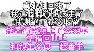 真小姐回來了，我這個假貨也該走了，我謝絕了養父收留，拖著行李箱，上了公交車，準備回山上和親生父母一起養羊【幸福人生】