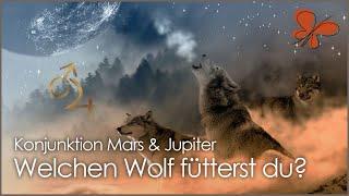 Welchen Wolf fütterst du? • Konjunktion Mars & Jupiter in den Zwillingen • Ilona Krämer