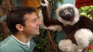 Zoboomafoo Cap. 51 Amigos Vecinos