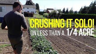 This Farmer Crushes It Solo On Less Than A Quarter Acre