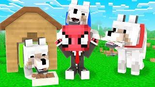 KÖPEKLER BENİ SAHİPLENDİ  - Minecraft