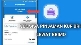 Cara Cek Sisa Pinjaman KUR BRI Lewat Brimo