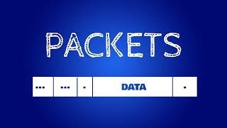 Network Packets - Whats On Board?