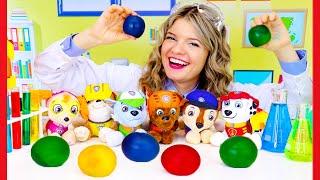 Toddler Learning Video Easy Science Experiments for Toddlers with Paw Patrol and Speedie DiDi