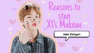 Reasons why you should stan X1s maknae Nam Dohyon