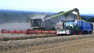 Harvest 2024 - NEW Claas Lexion 8800 Combining Barley and Fendts carting  Baling with Fendt 724