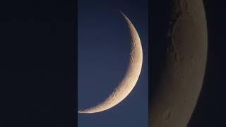 Moon Gazing  on the Summer Solstice  - Shortest Night of the Year 2023