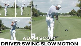 Adam Scott Driver Swing Slow Motion