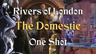 Rivers of London  The Domestic