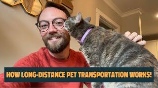 How Pet Transportation Works - Driving Cross Country with Cats