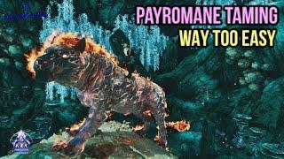 Aberration Payromane Too Easy to Tame