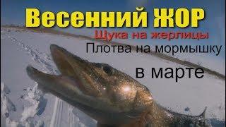 Рыбалка в марте. Щука на жерлицы и плотва на мормышку.