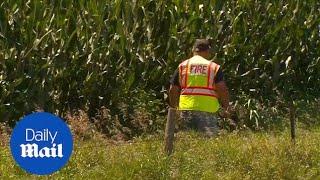 Authorities find body of missing Iowa student Mollie Tibbetts