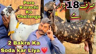 Akhter Goat Farm Ka Challenge   Kam Range Kam Pareshani   2025 Ka Qurbani Wala Bakray