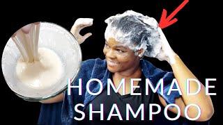 How To Make 100% Chemical-Free Shampoo at Home  Natural Shampoo Recipe