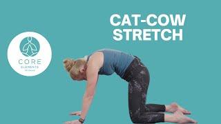 Reduce Back Pain & Increase mobility in the spine with Cat-Cow stretch