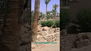 Parrotel beach resort Sharm El Sheikh