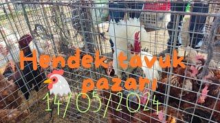 14052024 SAKARYA Hendek tavuk  pazarı