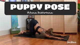 How To Puppy Pose Uttana Shishosana Modifications & Tips