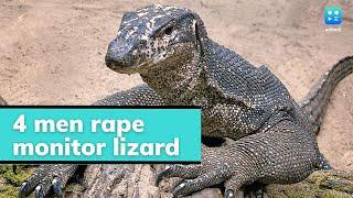4 men rape monitor lizard in Maharashtra record it on phone arrested