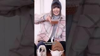 Nur Hundebesitzer verstehen dieses Video  Billi hat Husten #ViktoriaSarina