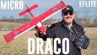 E-flite - Micro DRACO - 800mm - Maiden Flight + Unbox Build Radio Setup