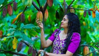 Homemade Cocoa Powder  Chocolate Moist Cakes Honey Cones & More Delicious Sri Lankan Sweets