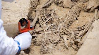 Archaeologists examine remains of an early Jamestown settler