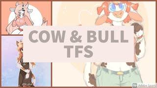 REQUESTED -  Cow TF  Cow TFTG 