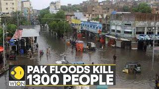 WION Climate Tracker  Pakistan Disaster to cost $10 billion displaced people make a plea for help