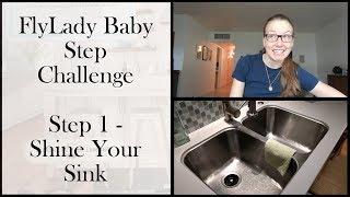 FlyLady Baby Step 1 - Shine your Sink