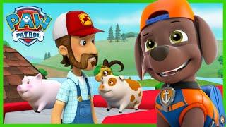 Pups save the Animals and the flooded farm - PAW Patrol Episode - Cartoons for Kids Compilation
