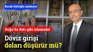 Türkiyede Döviz Girişi Doları Düşürür Mü?  Burak Saltoğlu