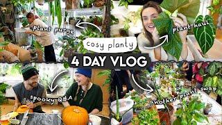 Plant Purge HAUL + 4 Days of Cosy Plant Chores