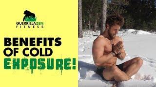 TOP 3 PROVEN BENEFITS of COLD EXPOSURE  Cold Showers Ice Baths Polar Plunging