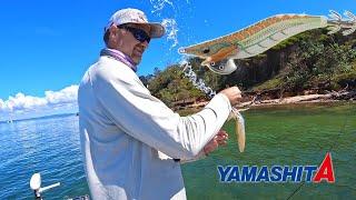 MORETON BAY SQUID FISHING