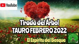 Tirada del árbol TAURO Febrero 2022