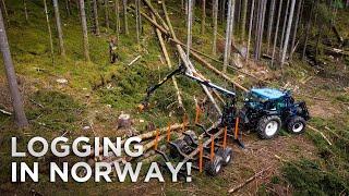 How They Log Trees in Norway