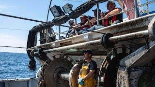 Una jornada de pesca en los caladeros de Valencia