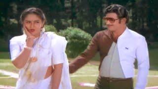 Krishna Jayaprada Evergreen Video Song  Bangaru Kapuram Movie Video Songs