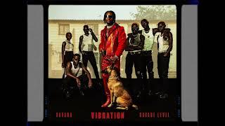 SAVARA - Vibration ft Karun Official Audio