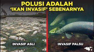 IKAN INVASIF SEBENARNYA ADALAH POLUSI DI SUNGAI PERAIRAN INDONESIA