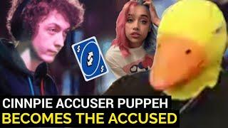 Super Smash Bros Pro Cinnpie Accuser Puppeh Gets Accused