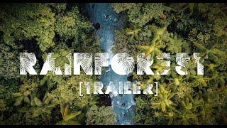 Rainforest Trailer